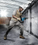 Перфоратор Bosch GBH 5-40 D