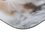 Коврик DEXP Kittens (XS) разноцветный