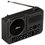 Радиоприемник Ritmix RPR-010 черный