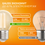 Комплект филаментных ламп Gauss Filament Elementary 52212