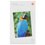 Фотобумага Xiaomi Instant Photo Paper 6"