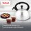 Чайник для плиты Tefal N4210117 серебристый