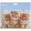 Коврик DEXP Kittens (XS) разноцветный