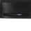 23.8" Монитор Digma Progress 24P503F серый