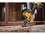Сабельная пила DeWalt DCS369N   , Без ЗУ, Без АКБ