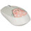 Мышь Aceline WM-M504 Cat