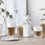 Milk frother De'Longhi LatteCrema Cool white