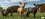 Игра Farming Simulator 25 (PS5)