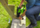 Перфоратор GreenWorks GD24SDS2 24V