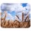 Коврик Aceline Nature 02 (S) разноцветный