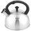 Чайник для плиты Tefal N4210117 серебристый