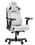 Компьютерное кресло AndaSeat Kaiser 4 V2 L6D Armrest белый