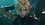 Игра Final Fantasy VII Remake Intergrade (Switch)
