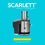 Соковыжималка электрическая Scarlett SC-JE50S65 серебристый