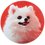 Коврик Aceline Pomeranian Dog (XS) разноцветный