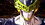 Игра Dragon Ball: Sparking! ZERO (Switch)