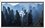 120" Экран для проектора DEXP WMD-120