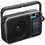 Радиоприемник Ritmix RPR-320 серый