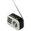 Радиоприемник Ritmix RPR-033 белый