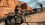 Игра Red Dead Redemption (PS4)