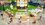 Игра Story Of Seasons: Grand Bazaar (Switch)