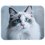 Коврик Aceline Blue eyed cat (XS) разноцветный