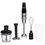 Botirma blender Moulinex DD95HD10 qora