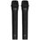 Portable audio system Fiero Horn FR750, black