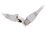 Patch cord DEXP HPS5E200
