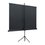 81" Экран для проектора Lumien Eco View LEV-100110