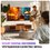 43" (109 см) Телевизор Haier 43 LED H1 черный