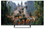 50" (127 см) Телевизор EVO TV 50 черный