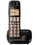 Телефон беспроводной (DECT) Panasonic KX-TGE110UCB