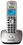 Simsiz telefon (DECT) Panasonic KX-TG2511UAN