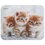 Коврик DEXP Kittens (XS) разноцветный