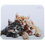 Коврик Aceline Kittens (XS) разноцветный