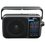 Радиоприемник Ritmix RPR-320 серый