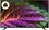 43" (108 см) Телевизор DEXP U43H8000E черный
