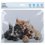 Коврик Aceline Kittens (XS) разноцветный