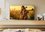 85" (215 cm) TV Sony K-85XR50 black