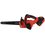 Cordless chainsaw Aceline OBS CCSBL30  Guide Bar - 30 cm (12")