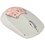 Мышь Aceline WM-M504 Cat