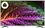 50" (127 см) Телевизор DEXP U50G8000Q серый