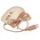 Sichqoncha simli A4Tech Fstyler FM26S [1971705] bej