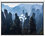 100" Экран для проектора DEXP WM-100