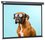 120" Экран для проектора Cactus Wallscreen CS-PSW-149X265-SG