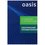 Тепловентилятор Oasis 2000W LS-20 (B)