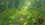 Игра The Legend of Zelda: Breath of the Wild (Switch)