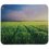 Коврик Aceline Nature 05 (S) разноцветный