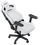 Компьютерное кресло AndaSeat Kaiser 4 V2 L6D Armrest белый
